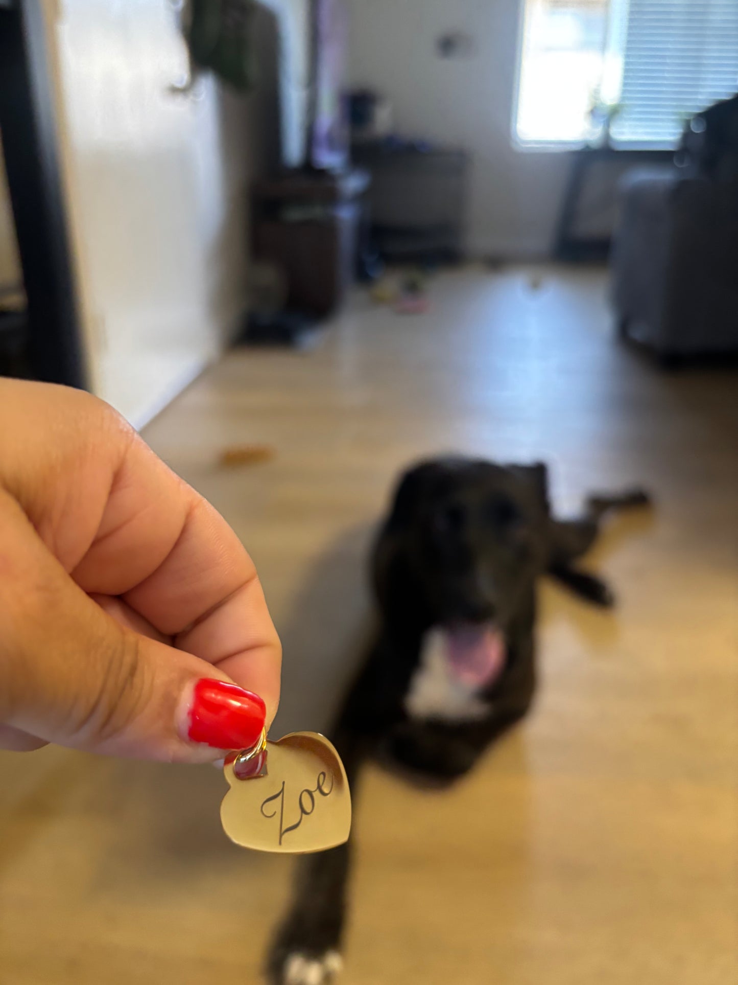 Heart Dog Tag