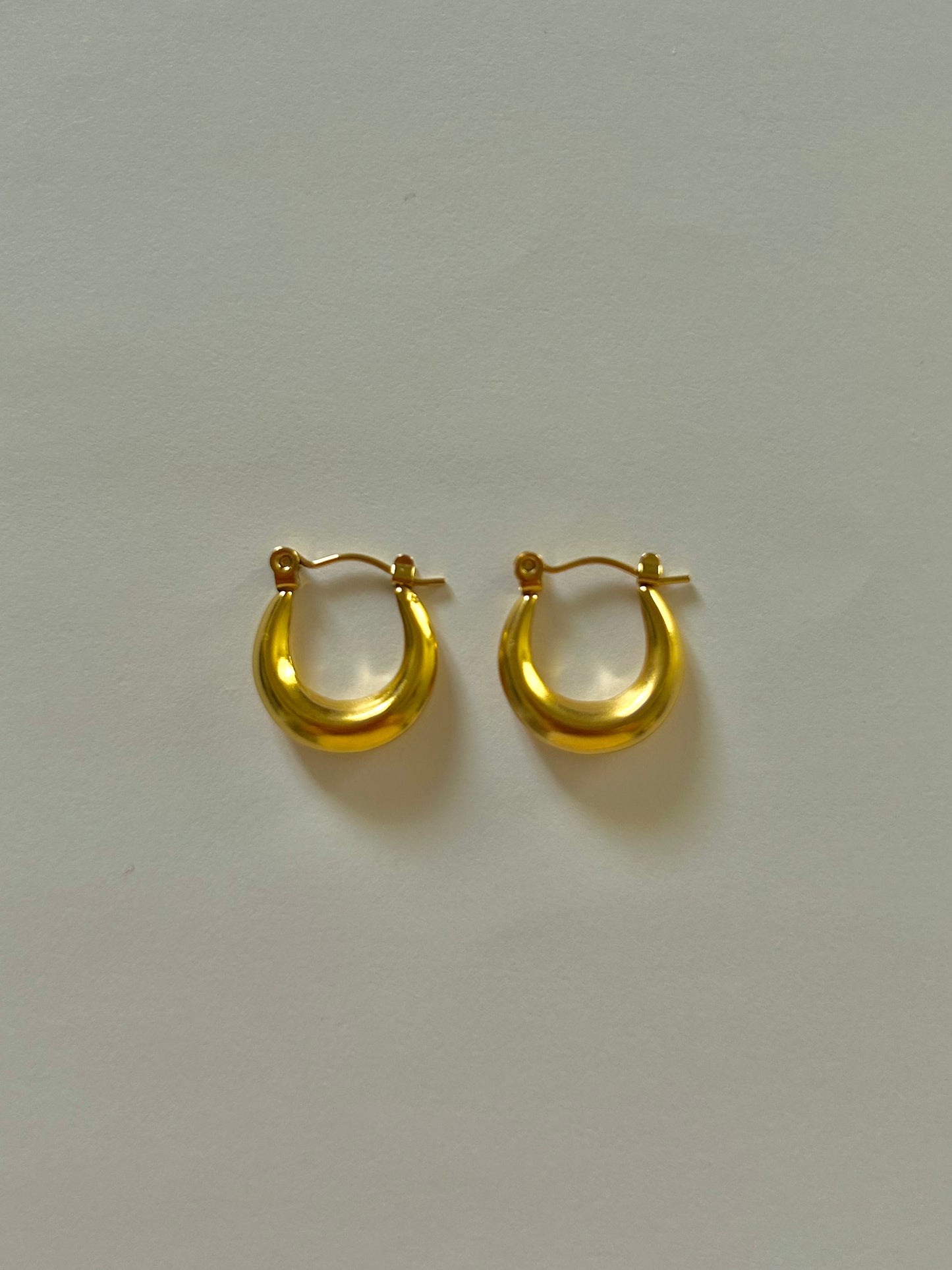 Jovanna Oval Hoops